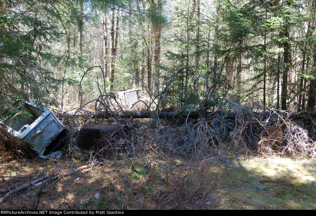 The remains of the Carter Bunk House